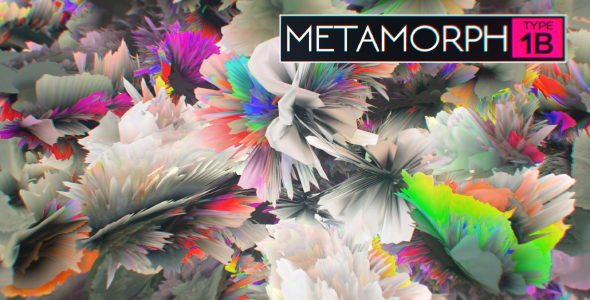 Metamorph Type 1B alt