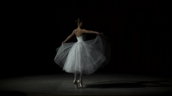 Female Ballet Dancer At A Rehearsal