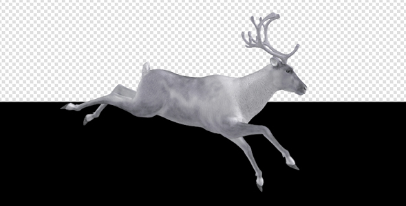 White Reindeer - Jump Run Loop - Right Side View alt