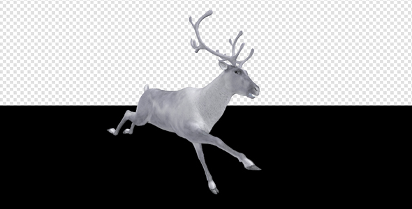 White Reindeer - Jump Run Loop - Side Angle View