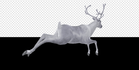 White Reindeer - Jump Run Loop - Back Angle View