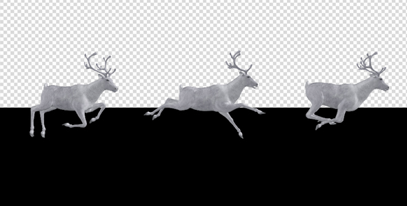White Reindeer - Passing Screen - Side View - 4K alt