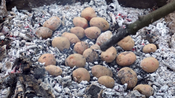 Baked Potato In a Fire