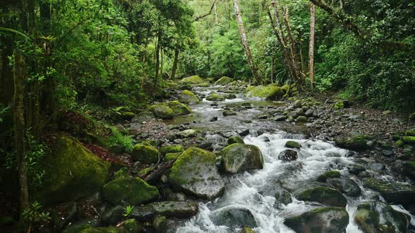 Rainforest River Landscape in Costa Rica, Beautiful Nature and Tropical Jungle Scenery with Water Fl