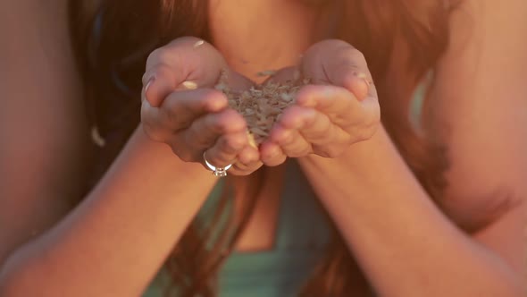 Grains and Ears of Wheat Blow Away From Palms