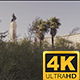 Marques de Pombal Roundabout in Lisbon, Portugal - 4K - VideoHive Item for Sale