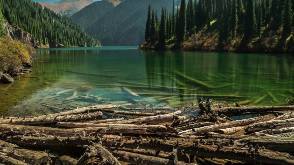 Fallen Trees Created a Dam On The Lake Water Kolsay