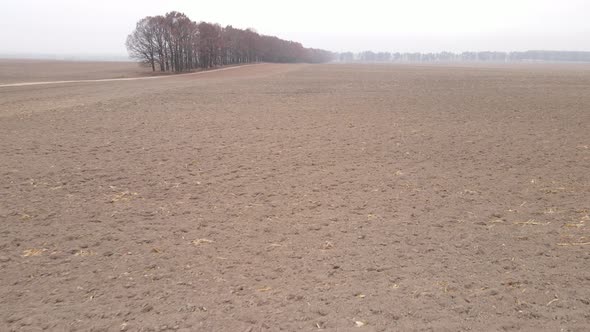 Land in a Plowed Field in Autumn