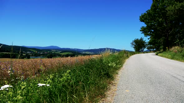 Road in the Countryside Between Forest and Filed - Sunny Day