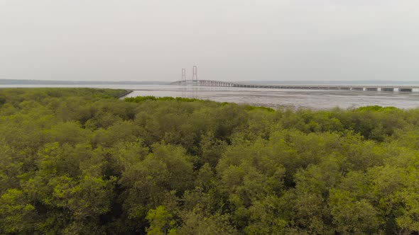 Suspension Cable Bridge in Surabaya