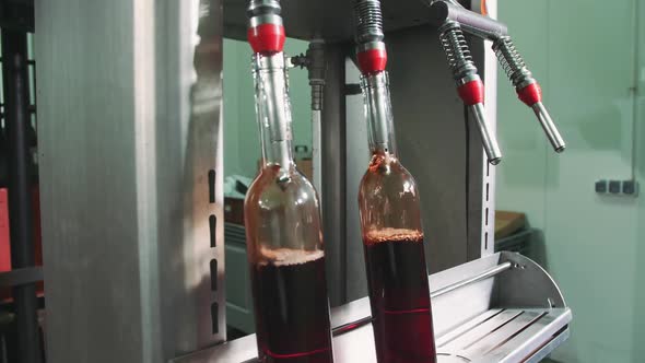 Special Machine Equipment Bottling Red Wine While Manufacturing