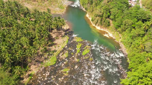 A River in the Tropics