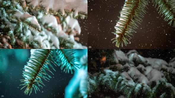 Collage Video Snow Falling at the Fir Trees Branches