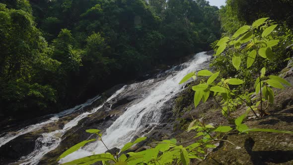 Panorama view POV shot camera green trees spring tourist travel Amazon rain forest.