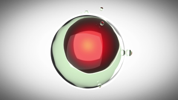 Rotate Cell Division alt