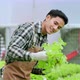asian small business owner greenhouse hydroponic farm business owner hand hold fresh vegetable - VideoHive Item for Sale