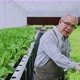 asian elder male business owner walking pesent growing organic arugula on hydroponics farm - VideoHive Item for Sale