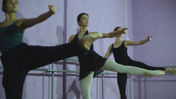 Ballerinas Practicing At Ballet Barre In Dance Studio