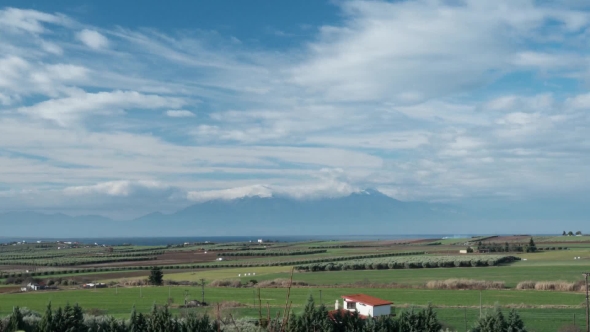 Farmlands And Olympus Mountain