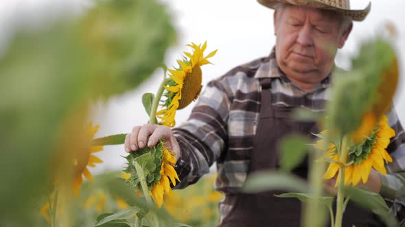 Agriculture Technology