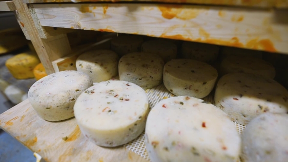 Process of Cheese Ripening