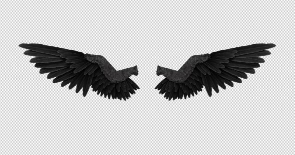 Black Angel Wings With An Alpha Channel