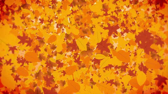 Autumn Background