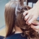 Hair Stylist Makes Professional Hairstyle Of Young Woman In Beauty Studio - VideoHive Item for Sale