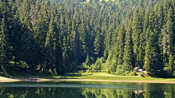 Lake Synevir In Carpathian Mountains In Ukraine