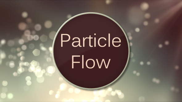 Particle Flow