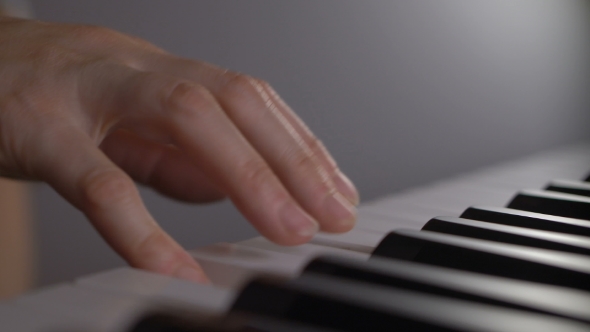 Woman's Hand Playing The Piano