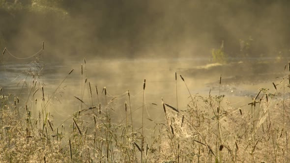 Fog Over River