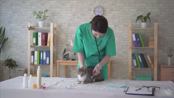 Beautiful Woman Veterinarian in Uniforminspecting the Cat with a Stethoscope