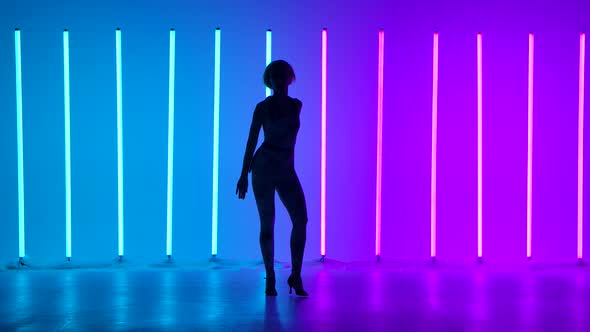 Silhouette of a Graceful Young Woman in Full Growth Dancing Elements of Modern Dance in the Studio