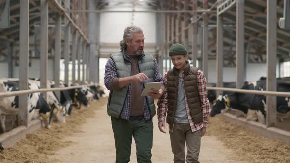 Father and Teenage Son Walking through Dairy Farm