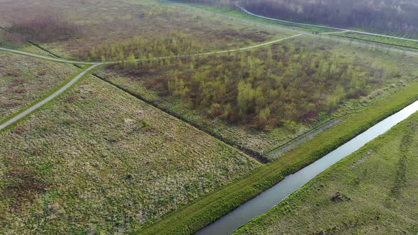 Spring forest with young trees and walkways