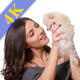 Playing With a Puppy - VideoHive Item for Sale
