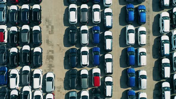 Closeup of Car Roofs in Car Factory Open Air Parking Lot.