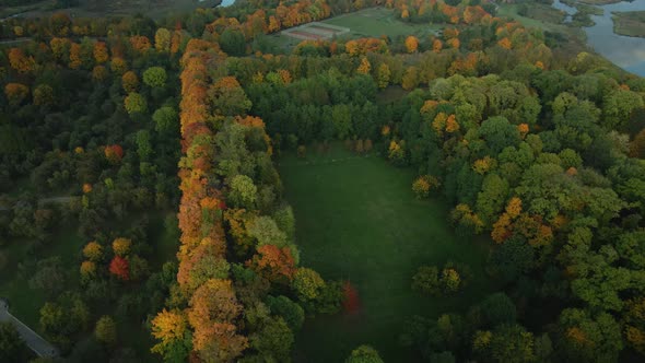 Flight over the autumn park. Trees with yellow autumn leaves are visible. Aerial photography.