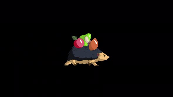 Hedgehog walks and carries apples and mushrooms alpha matte