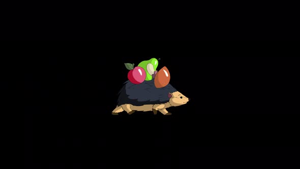Hedgehog walks and carries apples and mushrooms alpha matte alt