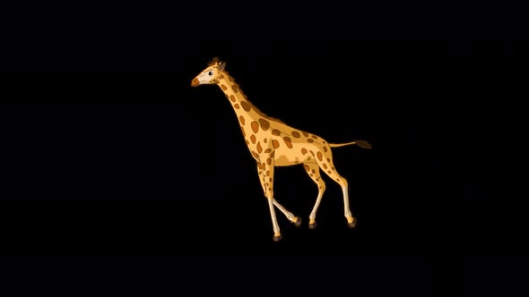 Big giraffe runs back and forth alpha matte long shot 4K alt