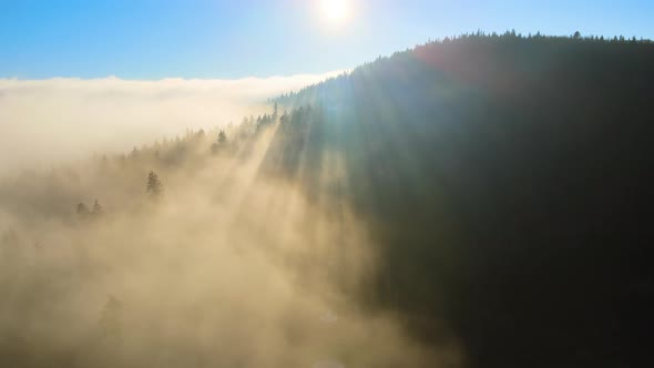 Aerial View of Amazing Scenery with Foggy Dark Mountain Forest Pine Trees at Autumn Sunrise