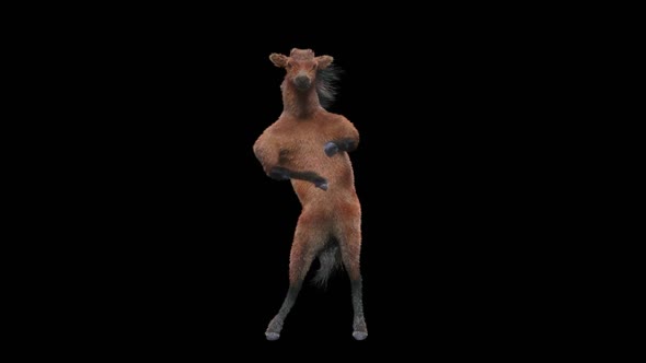 29 Horse Dancing HD