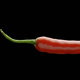 Red Pepper Chili - VideoHive Item for Sale