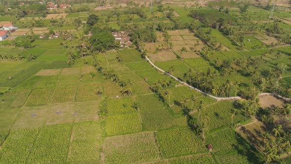 Agricultural Land in Indonesia