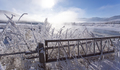 Winter landscape - frosty winter plants on the background of sunset and winter river cold mis - PhotoDune Item for Sale