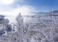 Winter landscape - frosty winter plants on the background of sunset and winter river cold mist - PhotoDune Item for Sale