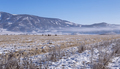 Snowy valley with wild Herd of horses, village on Altai mountains - PhotoDune Item for Sale