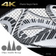 4K Piano Keys Pack - VideoHive Item for Sale